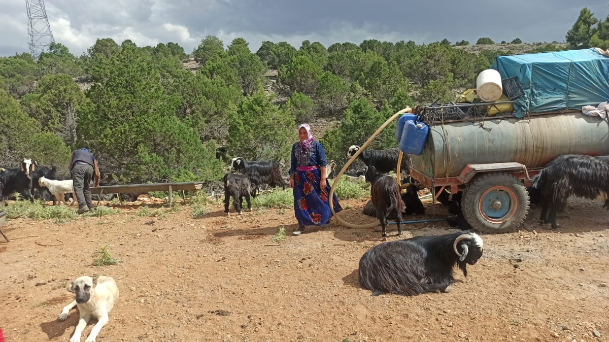 Sarıkeçili Yörüklerinin Konya’ya göç yolculuğu