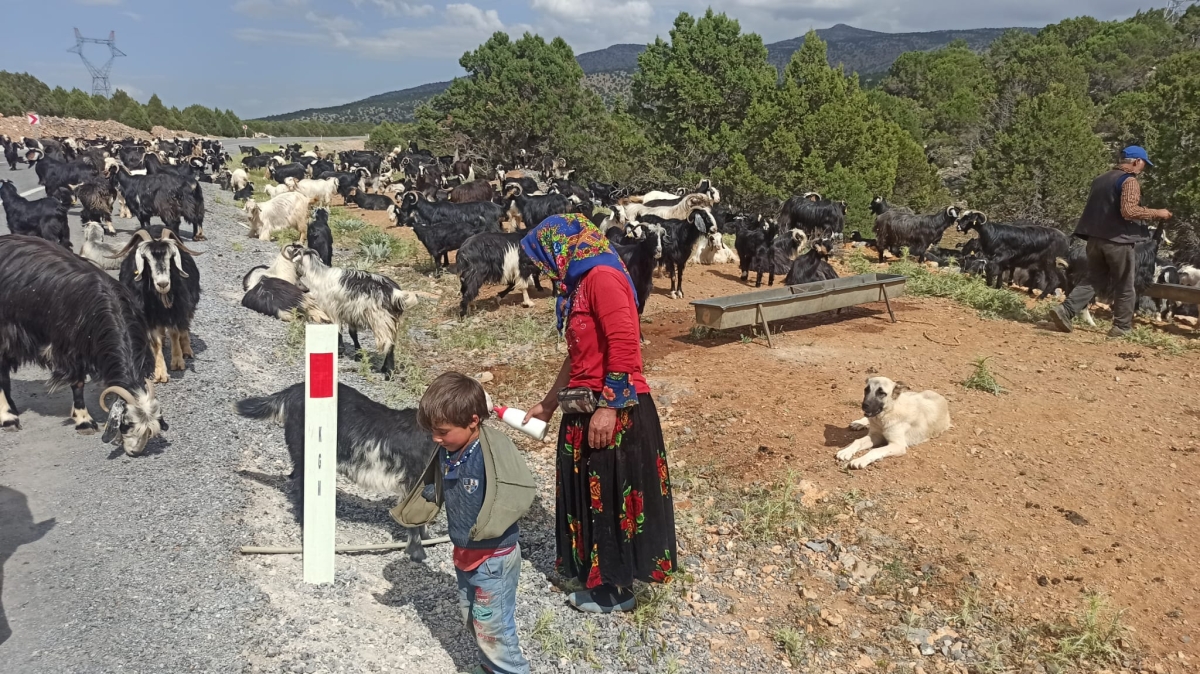 Sarıkeçili Yörüklerinin Konya’ya göç yolculuğu