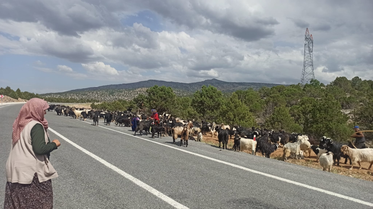 Sarıkeçili Yörüklerinin Konya’ya göç yolculuğu