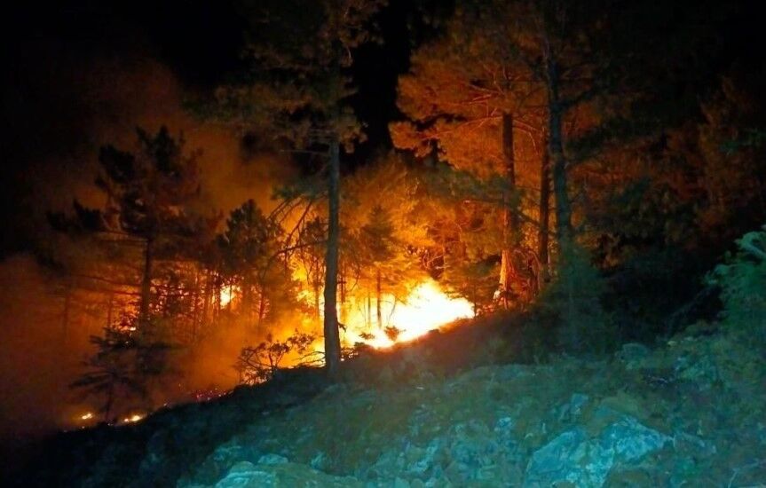 Konya’da ormanlık alanda çıkan yangın kontrol altına alındı