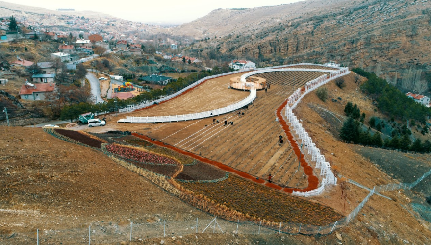 Meram Dere Mahallesi’ne Lavanta Bahçesi Kuruluyor.Meram Dere Lavanta Kokacak