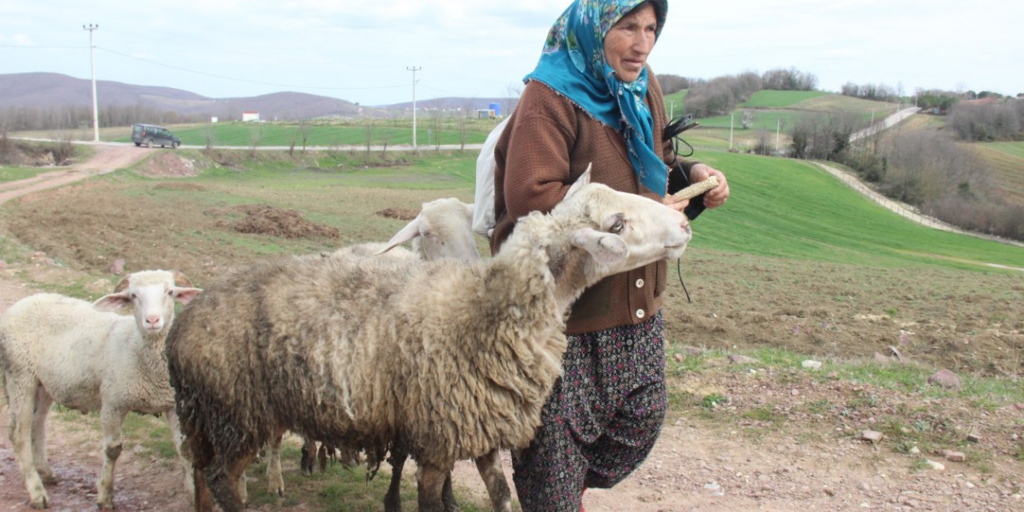 Dağların 60’lık Heidi’si