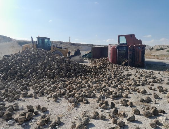 Konya Karapınar'da pancar yüklü kamyon devrildi
