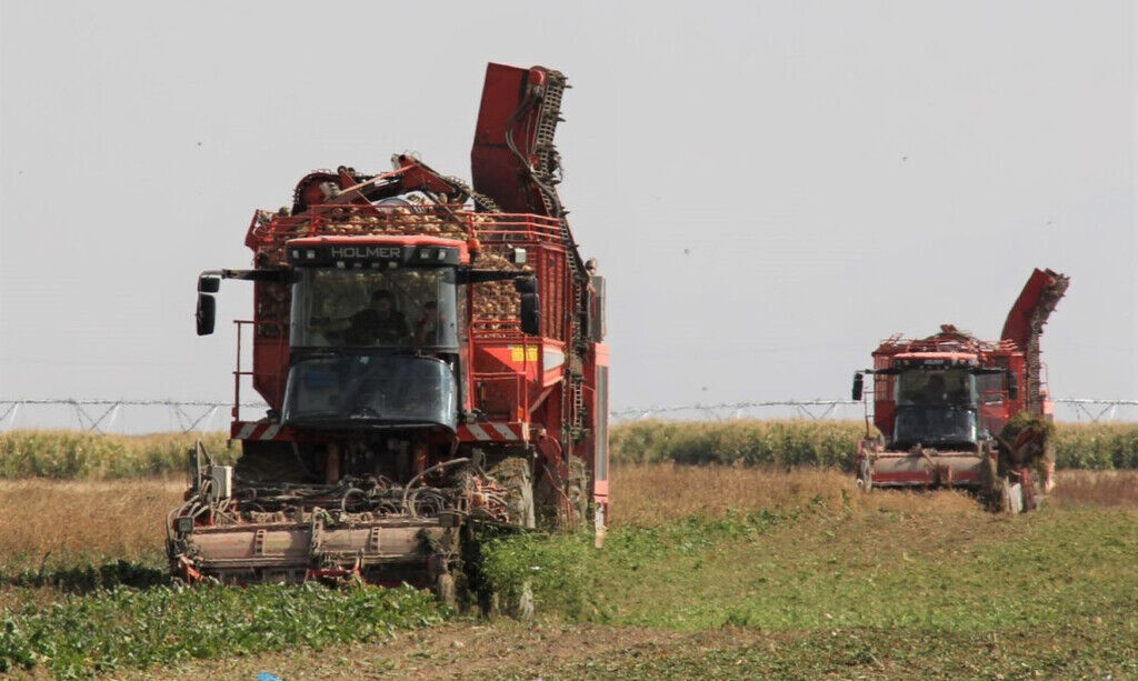 Konya Şeker'den 113 Milyon 484 Bin Tl Motorin Avansı