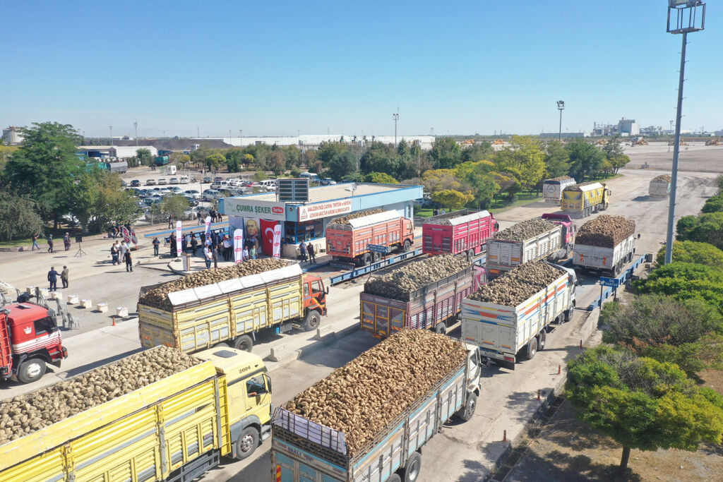 Konya Şeker Pancar Çiftçisine 6 Milyar Tl’lik Dev Ödeme Yapacak 