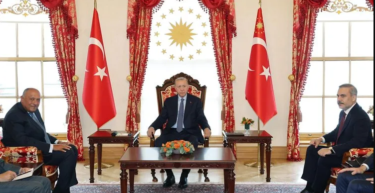 Cumhurbaşkanı Erdoğan Mısır Dışişleri Bakanı Samih Şukri'yi kabul etti!