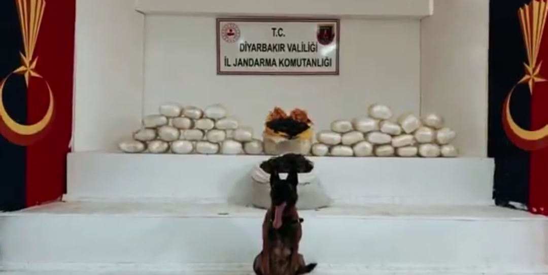 Diyarbakır’da Zehir Tacirlerine Darbe: 555 Kilo Uyuşturucu Ele Geçirildi