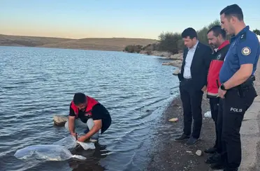 Akören’de Göletlere 40 Bin Yavru Sazan Bırakıldı