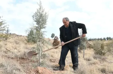 Aksaray'da Çorak Araziler Ormana Dönüşüyor! 