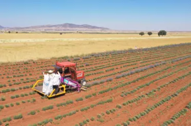 Başkan Altay: “Şehrimizin Kalkınmasına Katkı Sağlayan Çiftçimizin Yanında Olmaya Devam Edeceğiz”