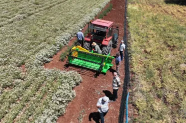 Başkan Altay: “Susuz Tarım Yöntemiyle Ekimini Desteklediğimiz Kekiklerin Hasadı Yapıldı”