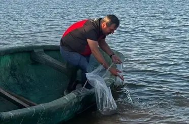 Çumra’daki Barajlara 100 Bin Yavru Balık Bırakıldı