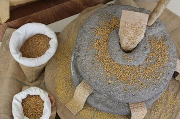 Dünyada Ve Türkiye'de Tek Otoklav Sistemi Torku'da"