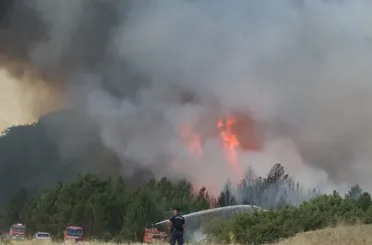 Eskişehir’de Orman Yangını Faciası! 11 Vatandaşımız Şehit Oldu!