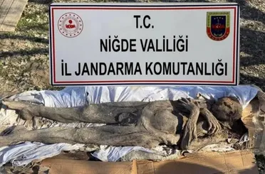 Jandarma'dan Definecilere Profesör Tuzağı! 