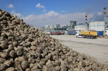Konya Şeker’den Üreticiye 12 Milyar 780 Milyon TL’lik Rekor Pancar Ödemesi
