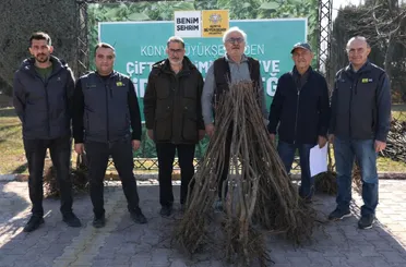 Konya’da Çiftçiye Fidan Desteği: 23 Bin 500’den Fazla Fidan Dağıtılacak