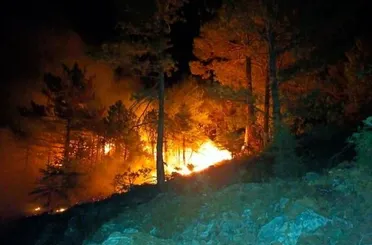 Konya’da ormanlık alanda çıkan yangın kontrol altına alındı