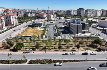 Konya’da Tramvay Çalışmalarında Dikkat Çeken Uygulama: Ağaçlar Kökleriyle Birlikte Taşınıyor”