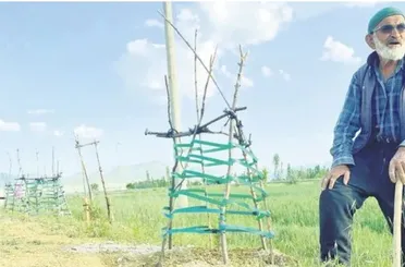 Konyalı Ağaç Dede Binlerce Fidanı Toprakla Buluşturdu!