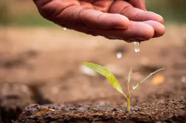 Kuraklık riskine karşı uzmanlardan öneriler