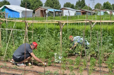 Meram Belediyesi Hobi Bahçeleri İçin Başvurular Başlıyor!
