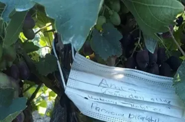 Osmanlı kültürü Mersin'de devam etti! Yediklerini üzümün parasını bıraktılar