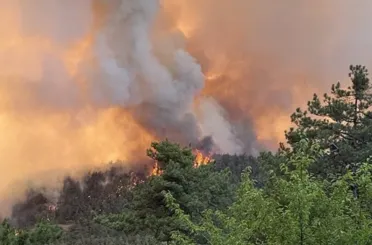 Sakarya’da Başladı, Bilecik’e Sıçradı: 16 Köy Tahliye Edildi, Alevlerle Mücadele Sürüyor!