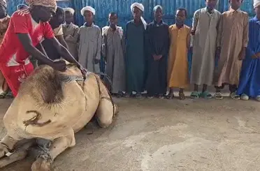 Somali’den Cumhurbaşkanı Erdoğan’a anlamlı destek! Türkiye'ye kardeşlik mesajı!