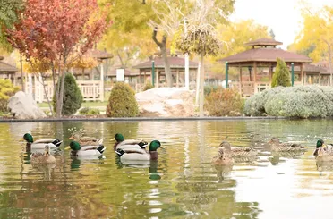 Sonbaharın Renkleri Karatay'ı Süslüyor!