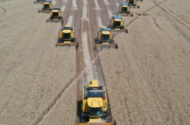 Topraklardan bereket fışkırıyor