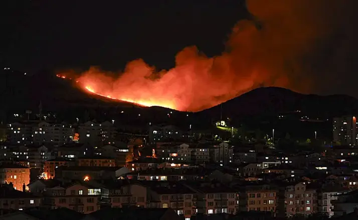 Ankara Mamak’ta Ağaçlık Alanda Yangın Çıktı: Ekipler Seferber Oldu