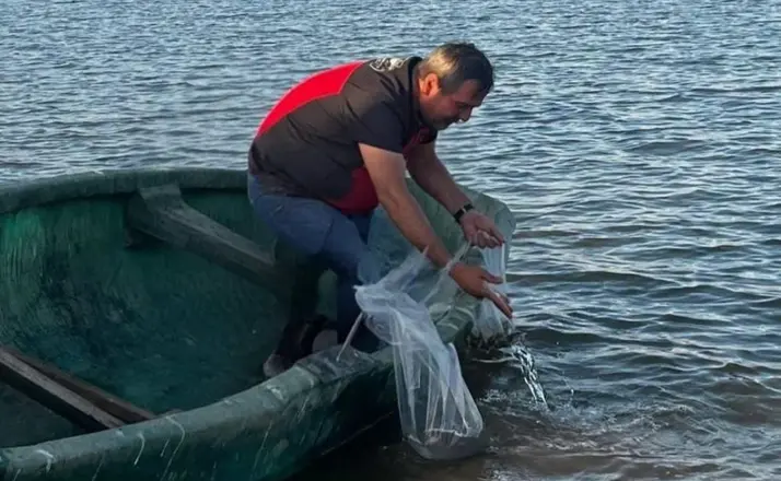 Çumra’daki Barajlara 100 Bin Yavru Balık Bırakıldı