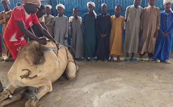Somali’den Cumhurbaşkanı Erdoğan’a anlamlı destek! Türkiye'ye kardeşlik mesajı!