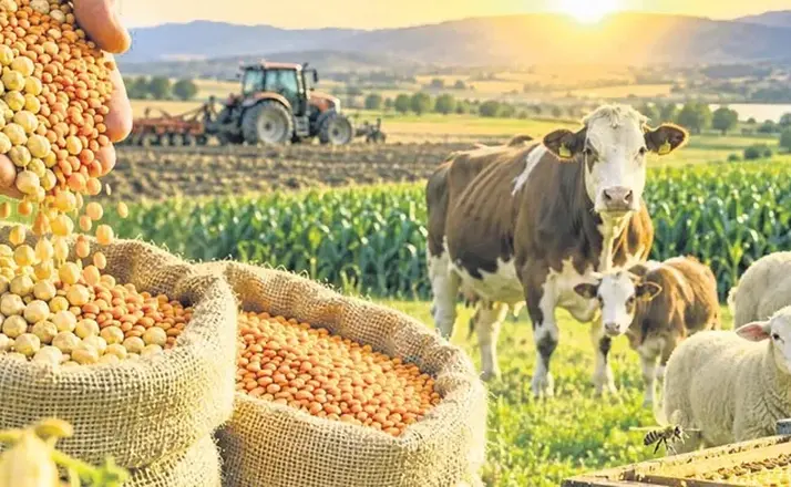 Tarım Desteklerinde Yeni Rakamlar Belli Oldu: Çiftçiye Ödeme Artıyor!