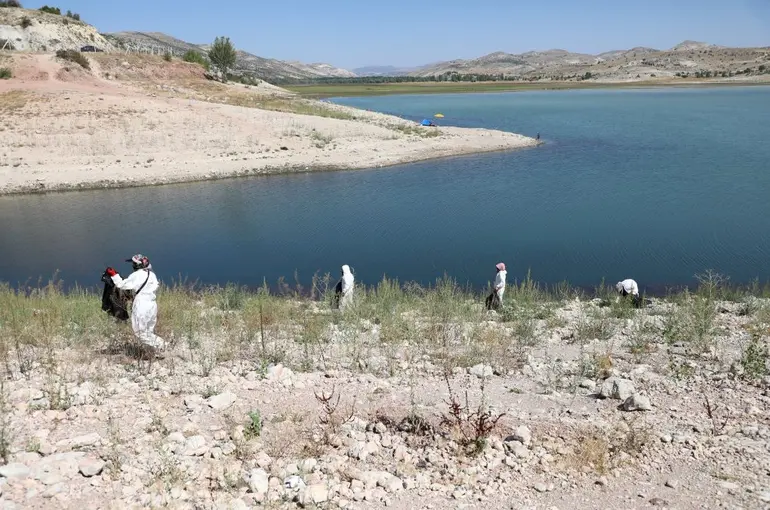 Altınapa Baraj Gölü’nde 8,5 Ton Çöp Toplandı!