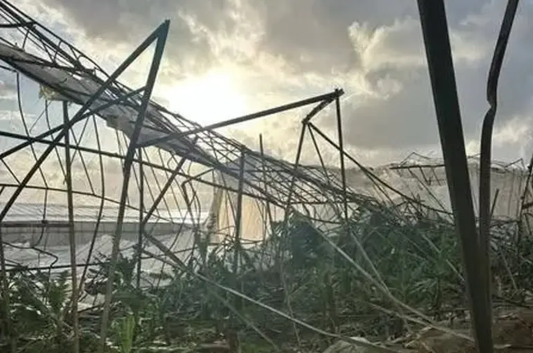 Antalya’da Hortum Dehşeti! Maddi Zarar ve Panik Yaşandı!