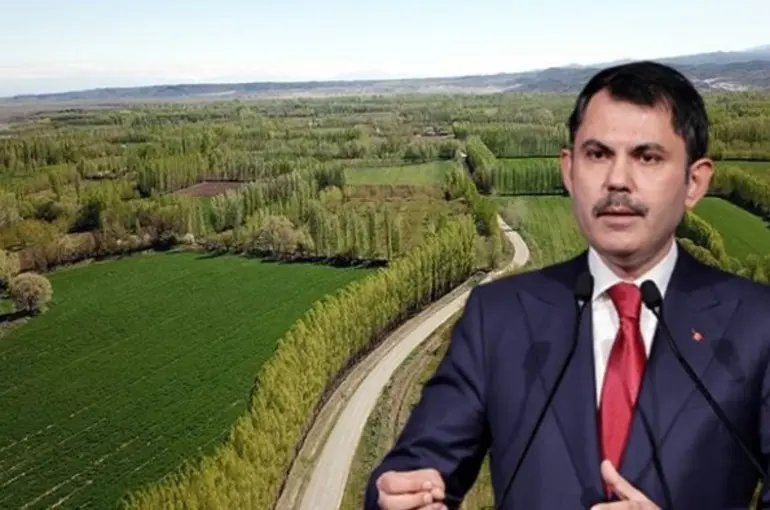 Bakan Kurum duyurdu: Hazine arazileri ekonomiye kazandırılıyor