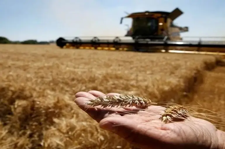 Bakanlıktan Çiftçilere Beklenen Duyuru! 185,8 Milyon Hesaplarda!