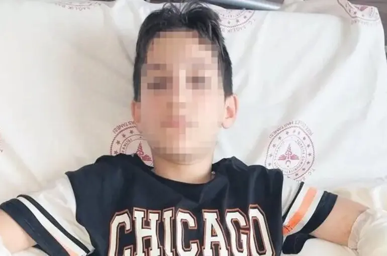 ‘Başıboş köpekler toplatılsın’