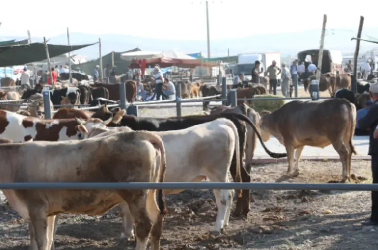 Bu yıl kurbanlıklar Meram’da nerede satılacak?