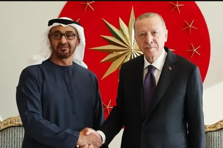 Cumhurbaşkanı Erdoğan Gazze için BAE Devlet Başkanı Al Nahyan ile görüştü