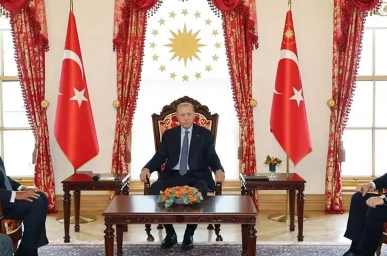 Cumhurbaşkanı Erdoğan Mısır Dışişleri Bakanı Samih Şukri'yi kabul etti!
