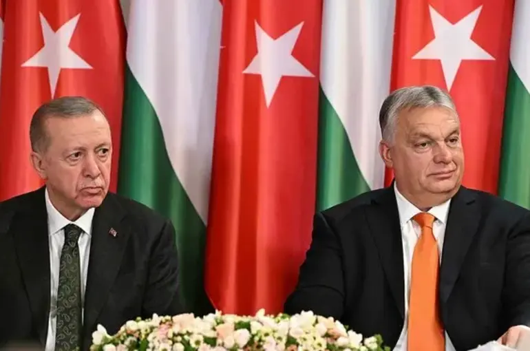 Cumhurbaşkanı Erdoğan'dan Dünya’ya Gazze çağrısı: Bu asli bir sorumluluk! 