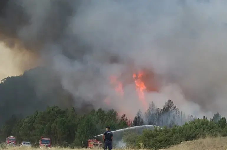 Eskişehir’de Orman Yangını Faciası! 11 Vatandaşımız Şehit Oldu!