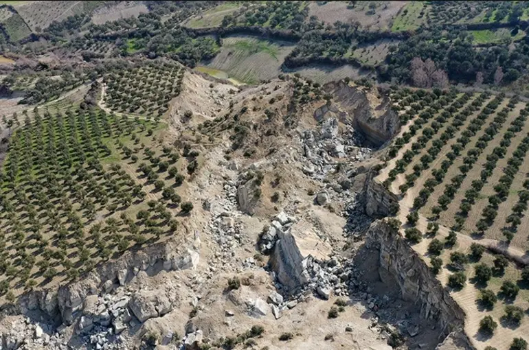 İkiye bölünen zeytinliğin bulunduğu bölge için kritik uyarı