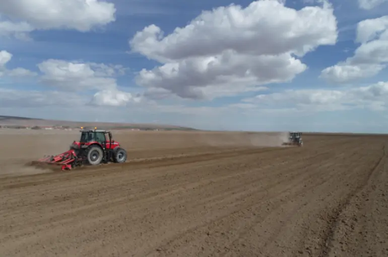 Konya Büyükşehir 800 Bin Metrekarelik Atıl Araziye Kuraklığa Dayanıklı Aspir Bitkisi Ekti