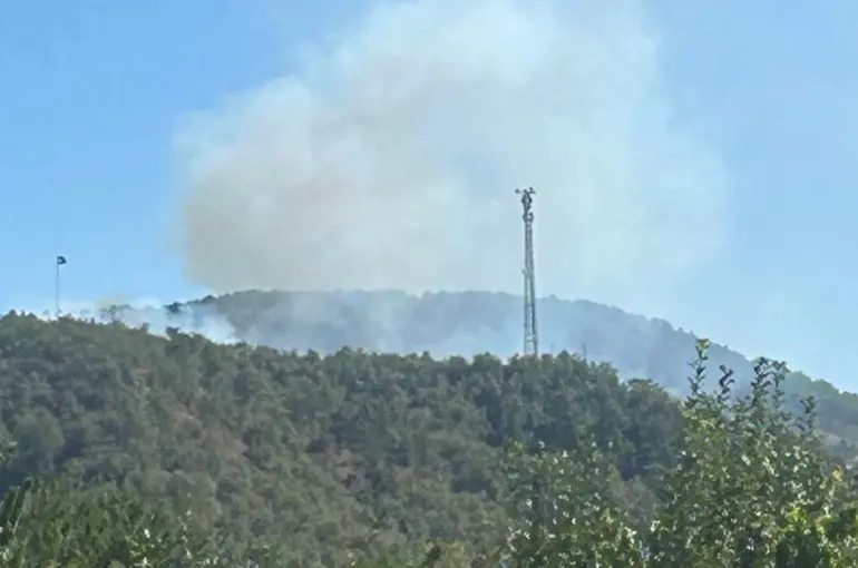 Konya Doğanhisar'da korkutan orman yangını!