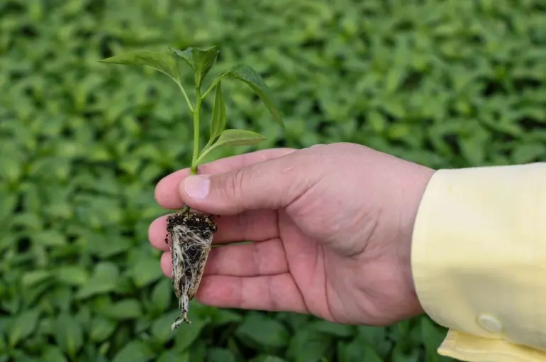 Konya Fide’de Yeni Sezon Satışları Başladı!