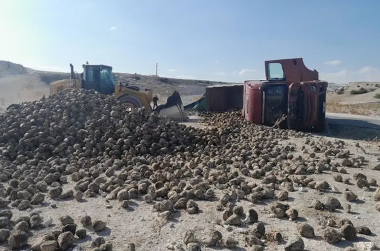 Konya Karapınar'da pancar yüklü kamyon devrildi